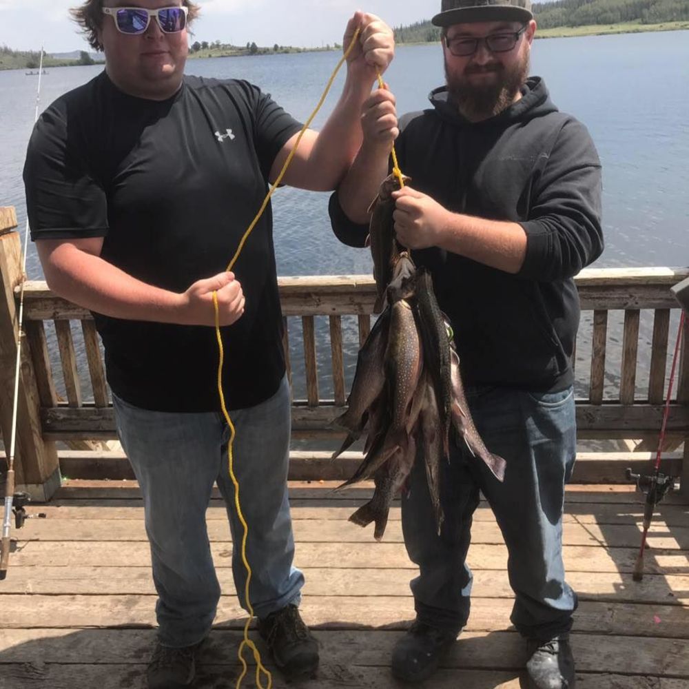 Meet your Posher, Logan